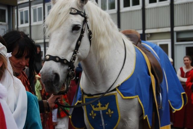 Orelans 8 mai 2014 (110).jpg